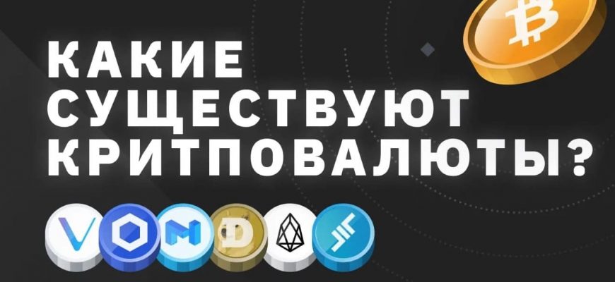 vidy kriptovalyut