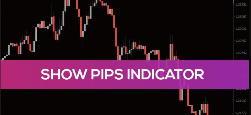 show-pips-indicator-1
